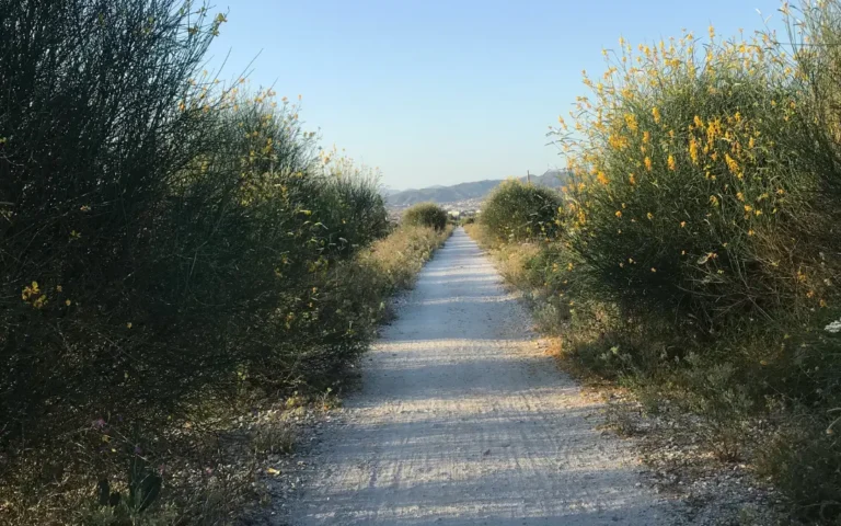 Rutas a pie o en bicicleta